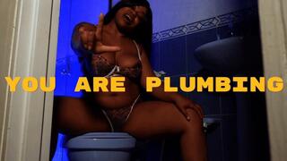 Ebony Femdom Goddess Aspen Aires: You Are Plumbing (Toilet Slavery Training)