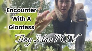Encounter With A Giantess Tiny Man POV