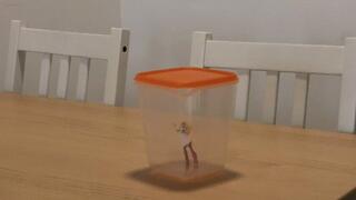 The Slow digest in the Giant's Belly ORDER b