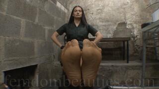 GODDESS ENDORA - THE DOCTOR'S FRAGRANT NYLON STOCKINGS 2