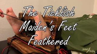The Ticklish Maiden's Feet Feathered