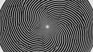 The Oak Tree Part 1 The seed