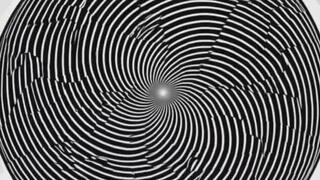 The Oak Tree Part 2 The Shedding