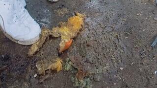 She crushed the fruit with her white sneakers WMV