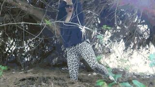 A Ruined Forest Walk or Getting Stuck Double MP4 (1920x1080) FHD