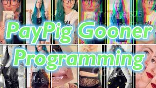 PayPig Gooner Programming *wmv*