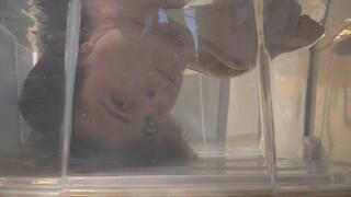 Talking Underwater ORDER a