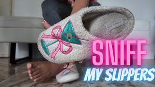 Sniff my Slippers