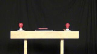 Gagged Game Of Trivia With Alysha and Tiffany Ropemarked Legends # 45