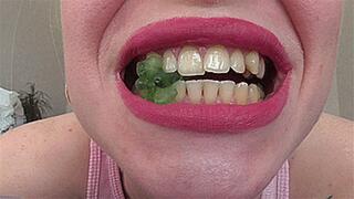 BITING IS FAST!AVIBIT