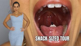Snack-sized tour - OnlyVanessa