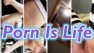 Porn Is LIfe: Gooner Programming *wmv*