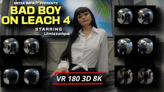 Bad Boy On Leash 4 - LilMizzUnique - Booty - Ass - leach - Jeans - pov - VR180 - 3D - 8K