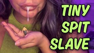 Spitting on the Tiny Freak - Giantess Roleplay Spit Humiliation & Sweaty Armpit Worship (4K Ultra HD)