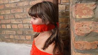 Mummified To A Rusty Pipe