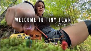 Welcome to Tiny Town