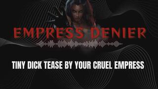 Tiny Dick Tease by Cruel Empress