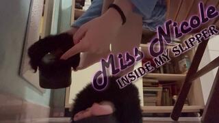 Inside My Slipper