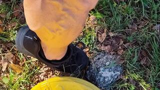 Tempest flexes around bushes