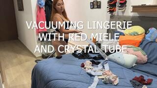 VACUUMING LINGERIE WITH RED MIELE AND CRYSTAL TUBE