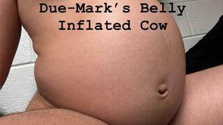 CUSTOM - Inflated Cow