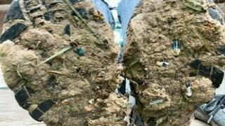 Whole family disappears in muddy shoes HD