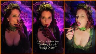 Looking for My Harley Quinn