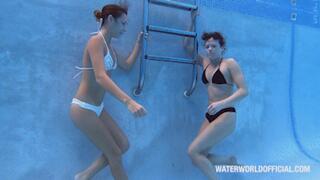 Sandra Ying Alexa Yang