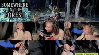 somewhere in the forest (4K)