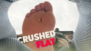 Giant Stomps You Flat! NO MERCY