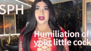 Pathetic Sissy: SPH Unfiltered