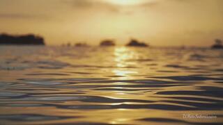 BNWO Feminize & Prepare For BBC ASMR