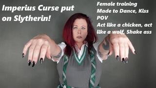 Imperius Curse put on Slytherin MP4 1080 POV puts Slytherin under curse to follow your orders