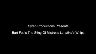 Bart Feels the Sting Of Mistress Lunatika's Whips (4k)