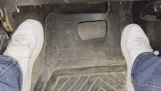 Morning Commute in Pumas