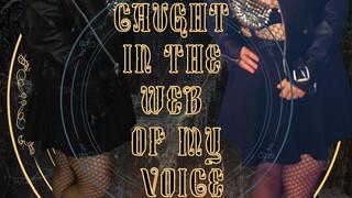 Caught in the web of my voice