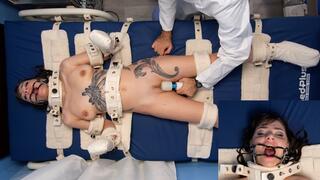 Obedience Training for Josie Jo