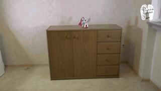 Furniture under combat Boots