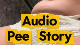 Audio pee story