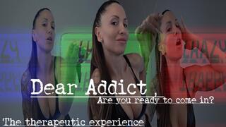 The therapeutic experience