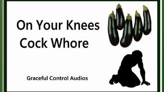 On Your Knees Cock Whore - Oral Servitude - Graceful Control Audios