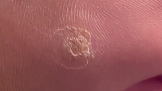 Littlebears solo soles