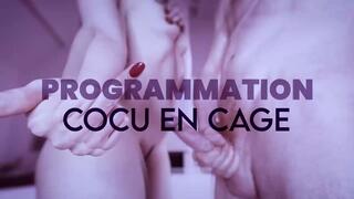 Programmation : Cocu en cage