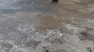 Squash Veggie Smash with Platform Boots (ASMR)