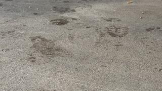 Crushing Cuties Under My Boots (ASMR)