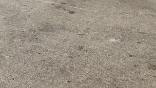 An Apple A Day (ASMR)….