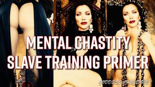 The Mental Chastity Slave Training Primer