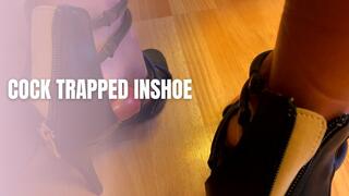Cock Trapped Inshoe