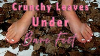 Crunchy Leaves Under Bare Feet