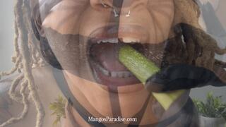 Mrs. Whiskers’ Mindfuck Feast – Chewing ASMR, Food Play, Gooning, Mouth Fetish, Tit Worship (Temptress Mango)